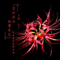兔子 - 奈何桥北 彼岸花美