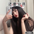 精彩鑫 - 从来都没有爱过