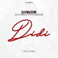 Didi (feat. Kelvynboy & Strongman)