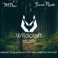 MDeco - Forest Roads