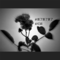 忆辰 - 算了算了算了