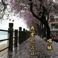 慕遥. - 再度忆江口