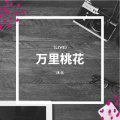 沐北 - 万里桃花 (Live)