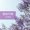 芯梓酷权 - 爱而不得