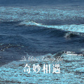 林子辰 - 就算流过眼泪又如何 (Remix)