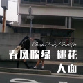 春风吹绿 桃花人面