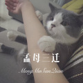 菠菜弟、菠菜妹 - 明星 (Remix)
