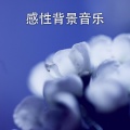 RW 感性的歌曲 - 神奇的夜晚