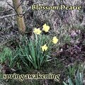 Blossom Dearie - Tout Doucement