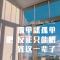 孤单就孤单吧 反正只能糟践这一辈子 (Remix)