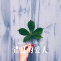 老丈人、虞姬 - 痴情意外 (Remix)