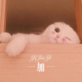 会说话的刘二豆、DJ YiXiu - 小屁孩 (Remix)