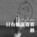 杨二爷 - 苏武牧羊 (Remix)
