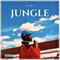 Accent - Jungle (Explicit)