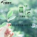 苏可可、MC赵小磊、李豪、虞姬 - 【全网热播电音】哦累累哦啦啦