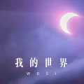 菠菜弟 - 我的世界 (Remix)