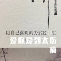猫老师 - 猴子捞月亮