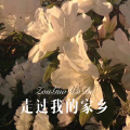 菠菜弟 - A Love Before Time (Remix)