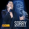 Sorry (Holland Zingt Hazes)