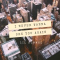 Lil Rommel - I Never Wanna See You Again