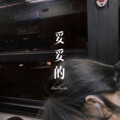八妹 - 妥妥的