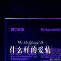 什么样的爱情 (Remix)