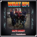 Puzzlebeats、Blitz Bundy、Liquid - What Up! (feat. Liquid)(Remix|Explicit)