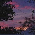 汪珂楠 - 勇气