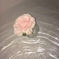 晴娌 - ♡