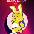 Honey Bunny - City Melancholy (Acapella)
