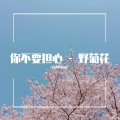石头Piano - 【钢琴】你不要担心