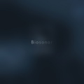 Biosonar