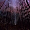 祁奕翔 - 万家灯火
