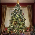 Christmas Music、The Merry Christmas Players、Celtic Christmas Music Collection - Mr. Claus