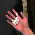 菠菜弟 - 春舞 (DJ版)