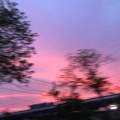 布里 - 我爱你