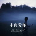 不再爱你