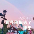 寄烧鸡 - 如今的你去了哪里 (DJ版)
