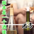 我本是一个酒徒