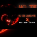 Kush aka Big Dog、Nitam、Vivo、Vla Bloody - No te olvidaré (Explicit)