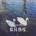 代古拉K - 阿宁姑娘 (DJ版)