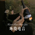 会说话的刘二豆 - 环绕电音 (DJ版)