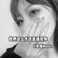 安瑾 - 孤独 (DJ版)