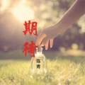 陈青 - 期待