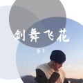 射手别乱来 - 剑舞飞花