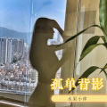 孤单背影