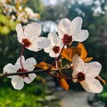 姚振琪 - 三月 再见