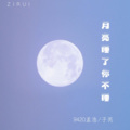 9420孟浩、子芮吖 - 月亮睡了你不睡