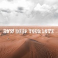 DjSunnyMega - How Deep Your Love