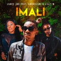 Amukelani、Lilly M、Lance Jnr - Imali (Original Mix)